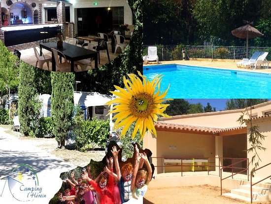 CAMPING Y PISCINAS LOS QUIÑONES