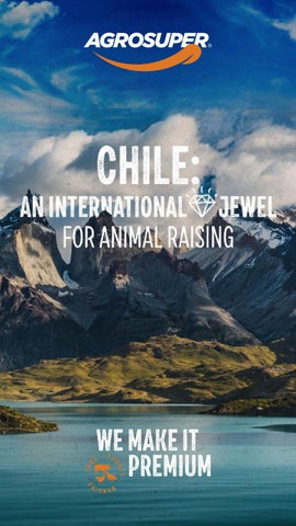 Centro Recreacional Sindicato Agrosuper