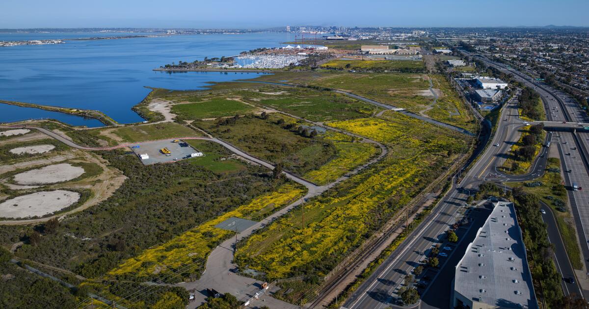 Complejo Deportivo Y Centro De Eventos Match