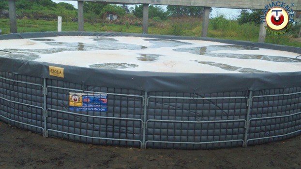 Piscinas En Camarones