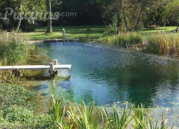 Piscinas En Catemu