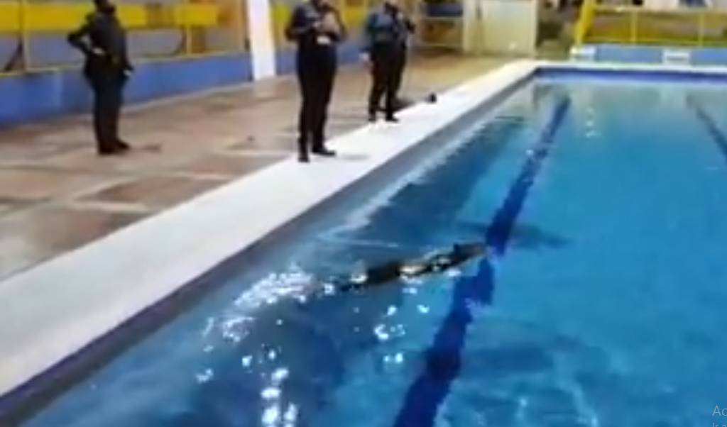 Piscina Colegio Saint Dominic