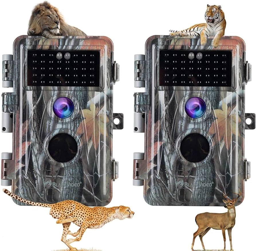 Privacidad Silvestre